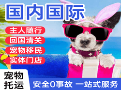 深圳机场空运国际宠物托运 【国